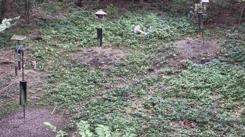 Weather camera view of Cincinnati Nature Center.