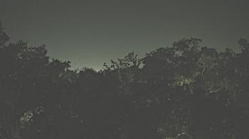 Weather camera view of Metairie Club Gardens.