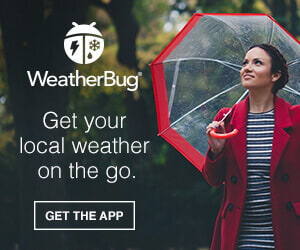 WeatherBug Default Pollen Banner Ad Desktop View